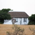 De Hoop collection cottages zebra