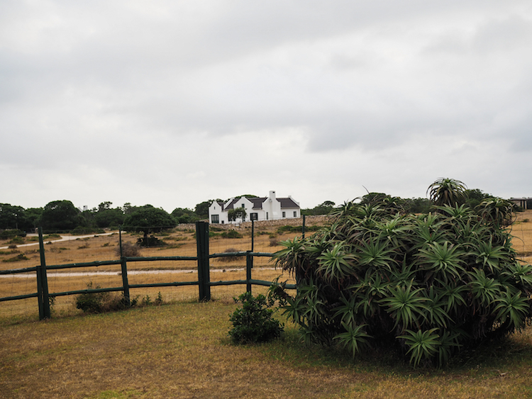 De hoop cottages collection