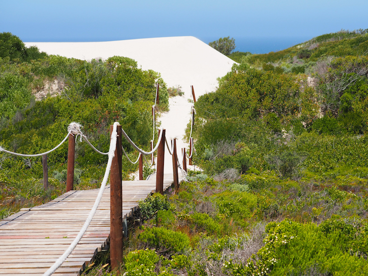 De Hoop Marine Walk Zuid-Afrika