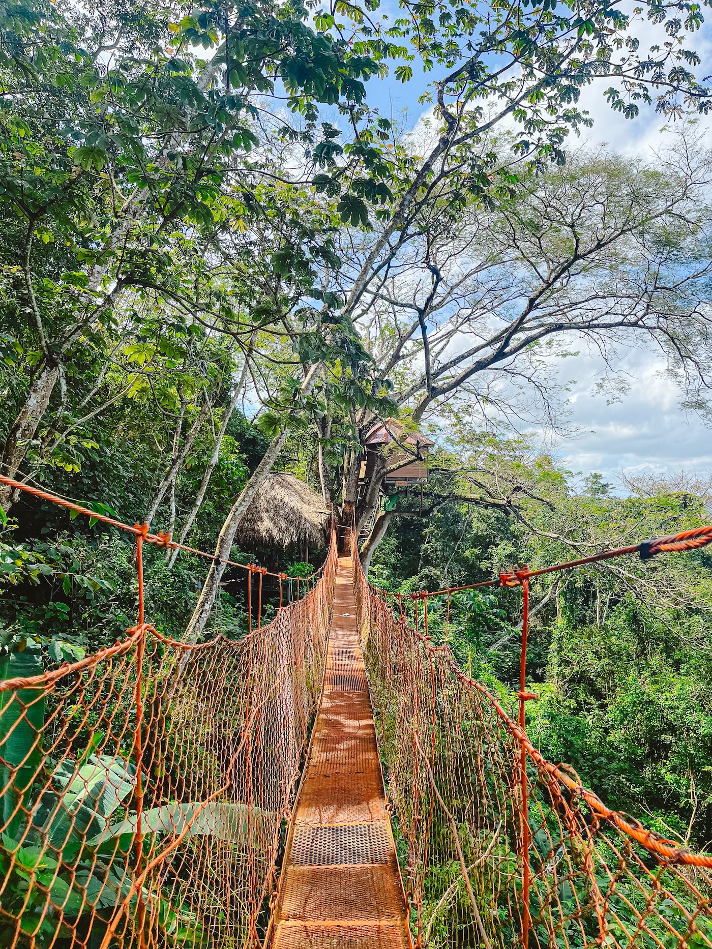 De brug bij de treehouse