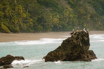De kust bij Corcovado National Park