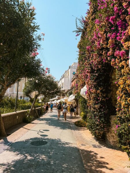 De starten van Capri vol bloemen