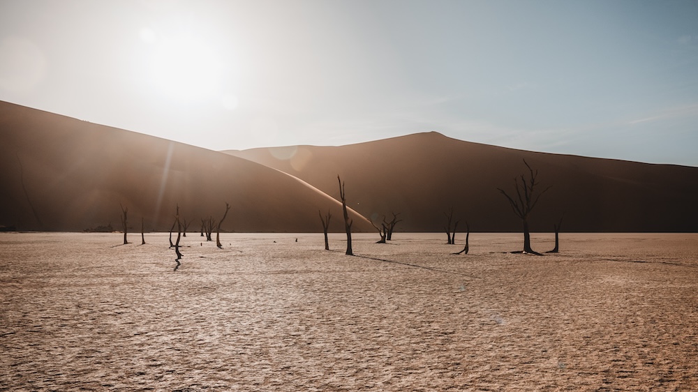 Deadvlei Namibië