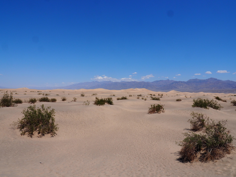Death Valley Bezienswaardigheden Mesquite Flat Dunes