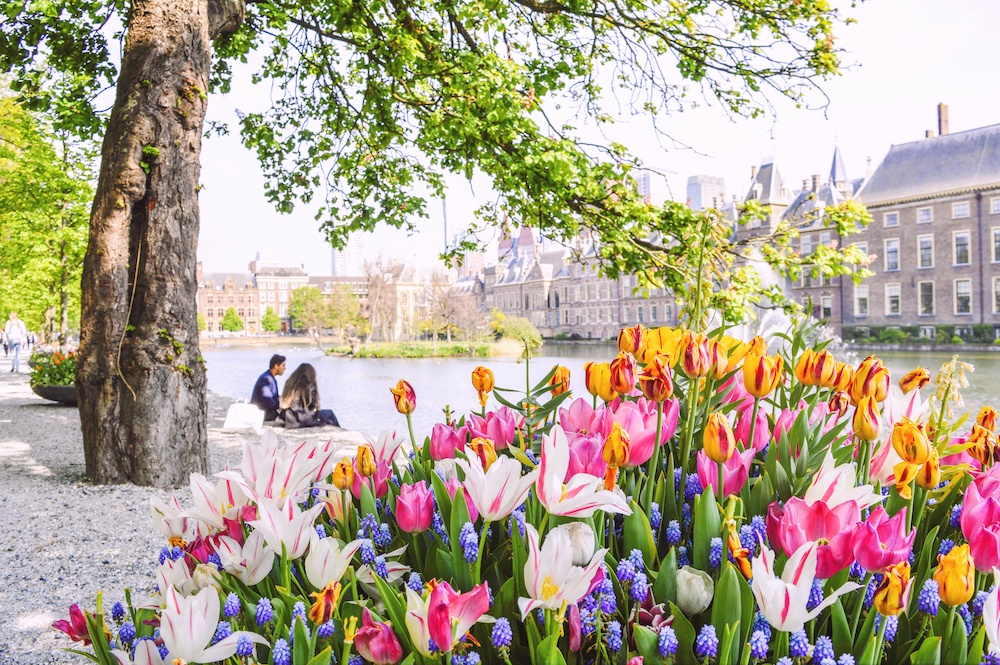 Den Haag Stedentrip Nederland