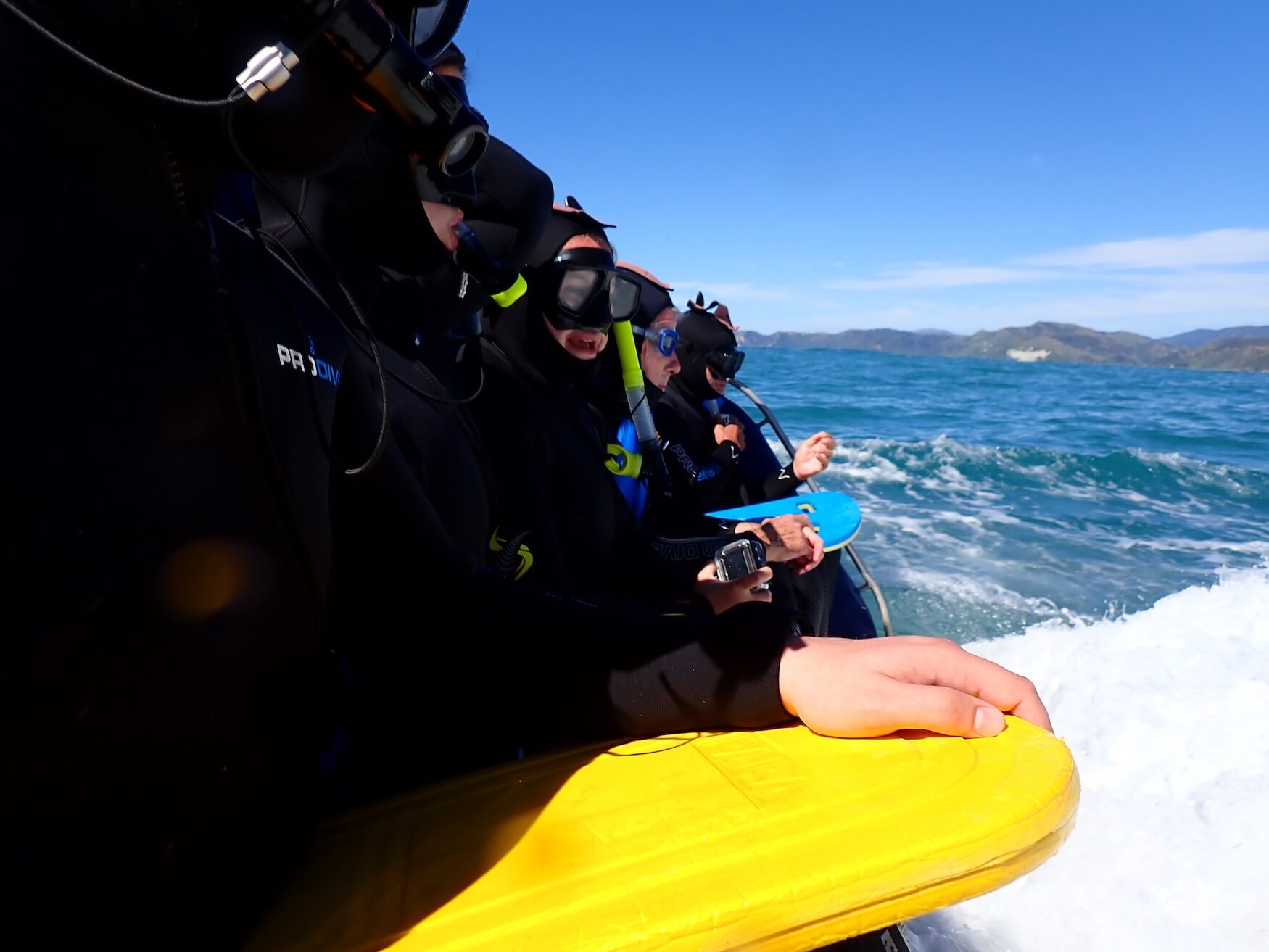 Dolphin Encounter klaar om te duiken