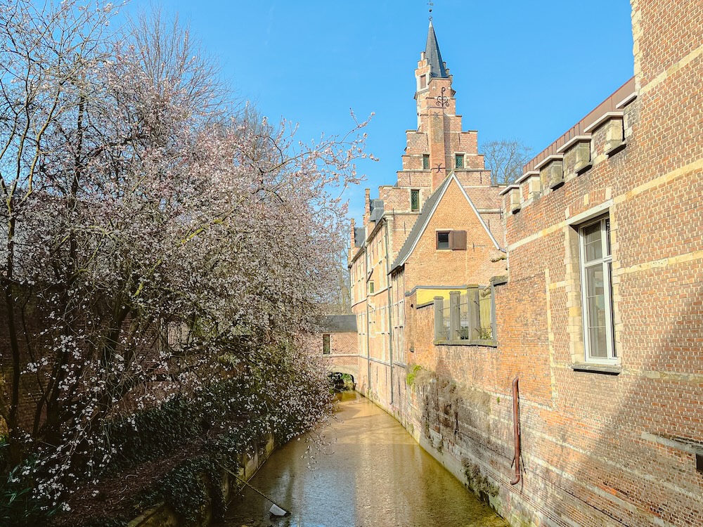 Doorkijkje water Mechelen