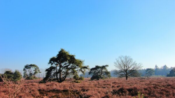 Drenthe