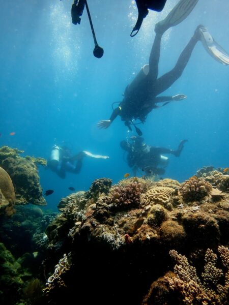 Duikers bij Southern Leyte