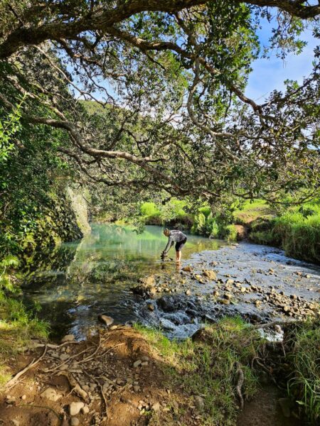 Dukes Nose creekje oversteken