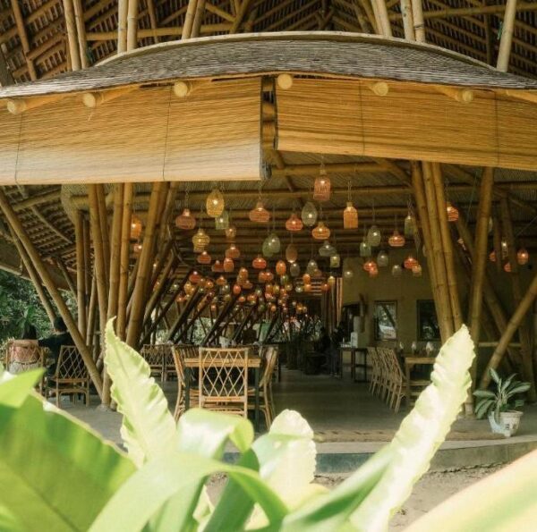 Ecolodge Bukit Lawang