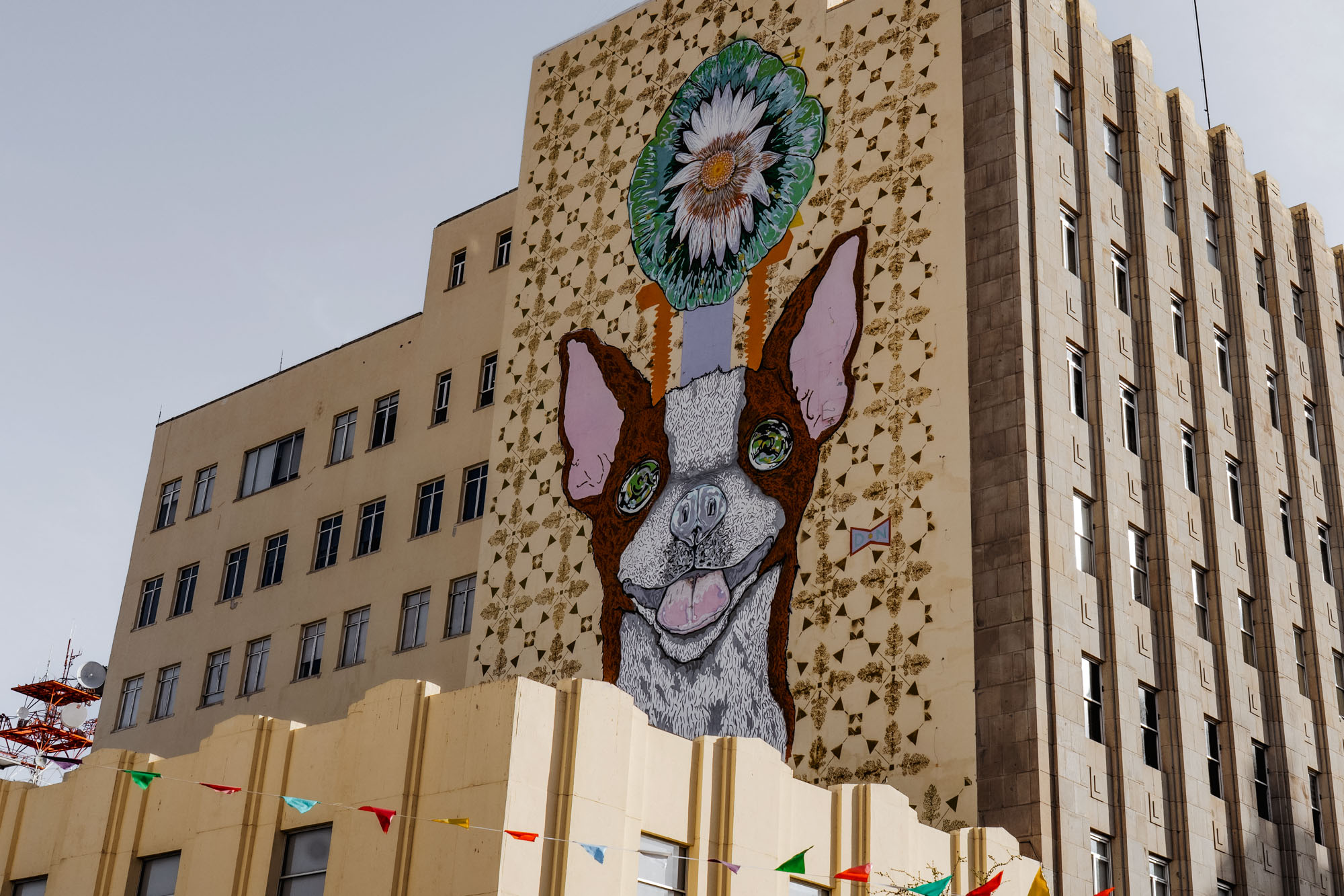 El Chepe Chihuahua