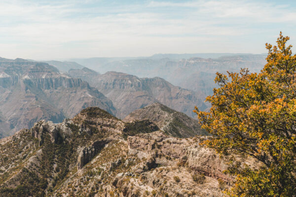 El Chepe Mexico Copper Canyon