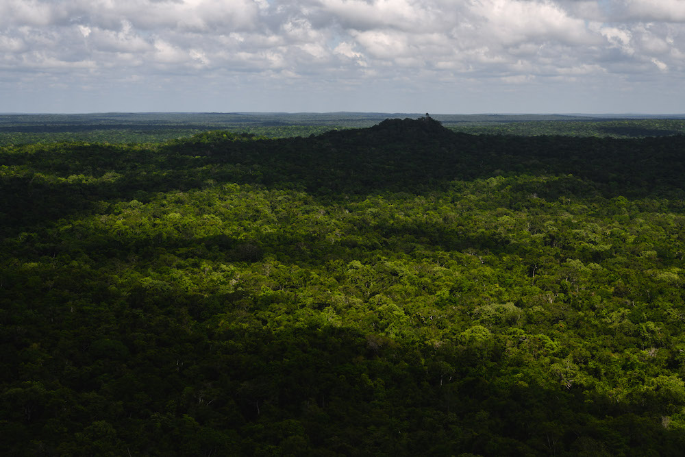 El Mirador Guatemala jungle uitzicht