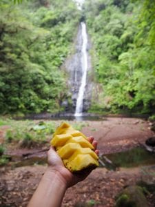El Silencio lodge spa in Costa Rica watervallen-3
