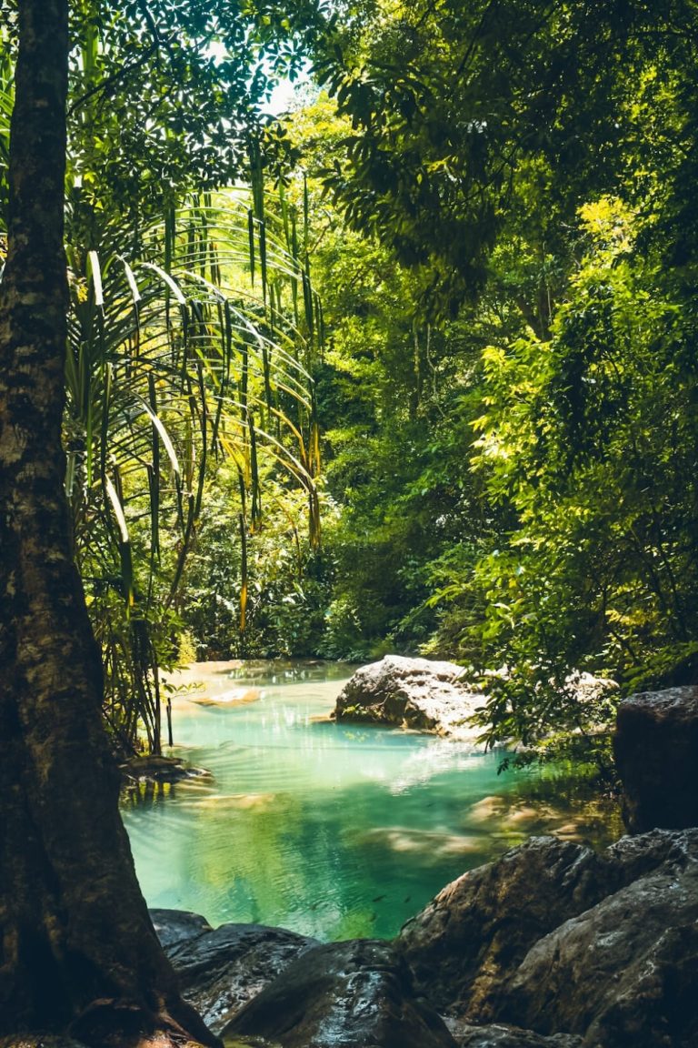 Tips voor een bezoek aan de Erawan watervallen