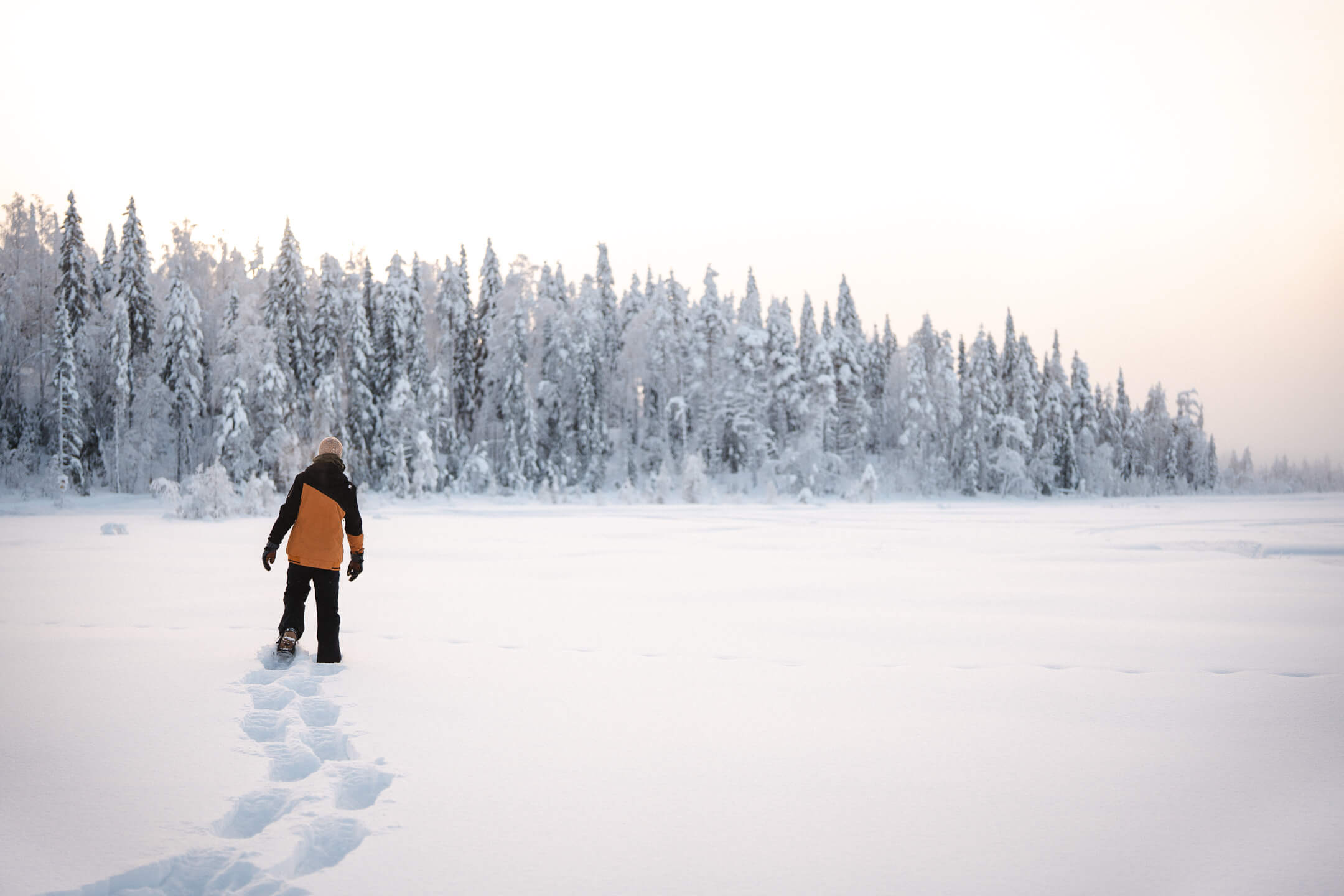 Ervaring Lapland Travel wandeling riisitunturi