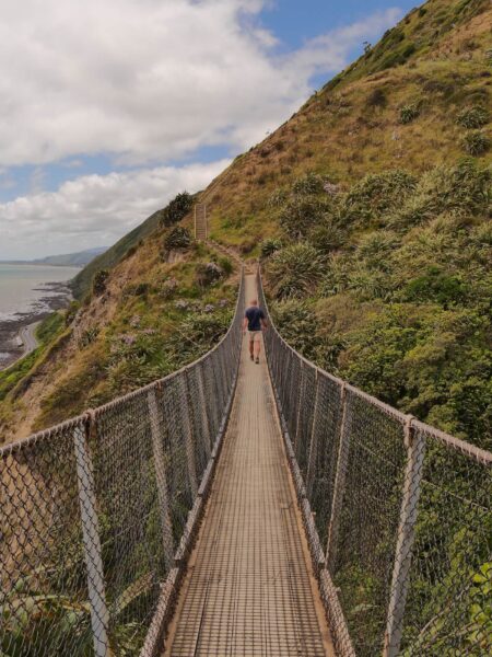 Escarpment Track man op hangbrug