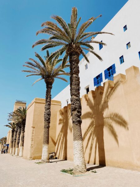 Palmbomen medina Essaouira