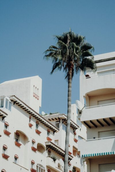Tall palm tree between white Mediterranean-style apartment buildings against a clear blue sky.
