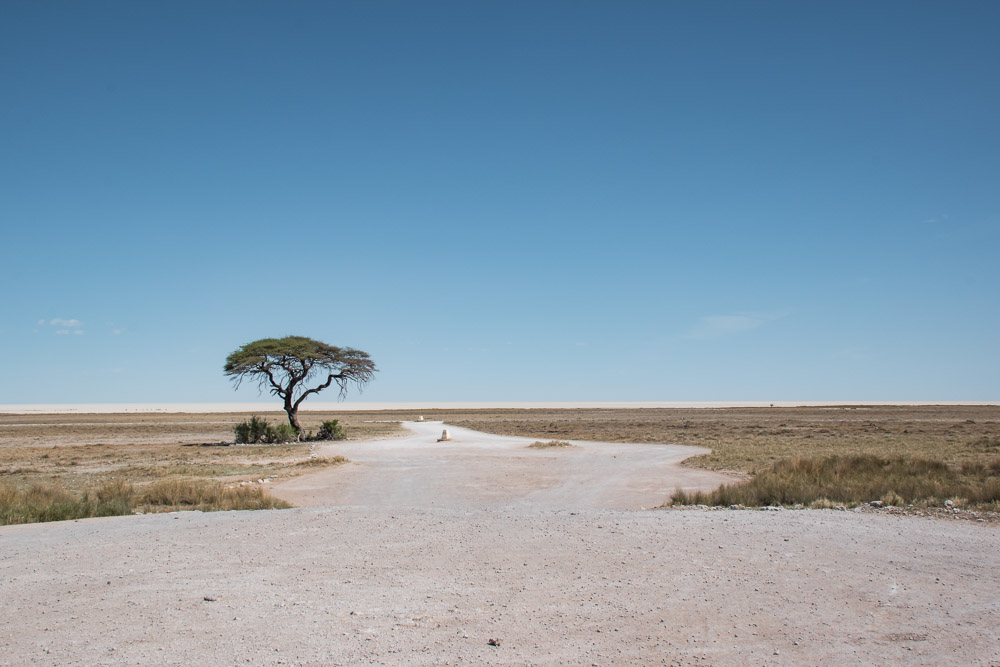Etosha national park Namibie wegen