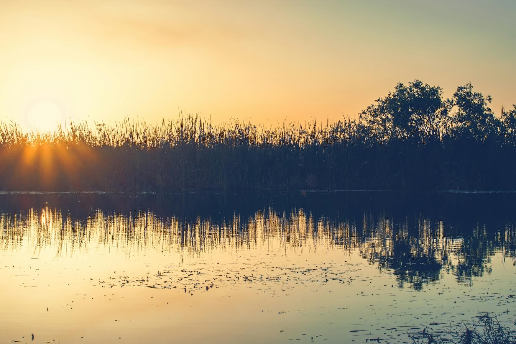 Everglades golden hour