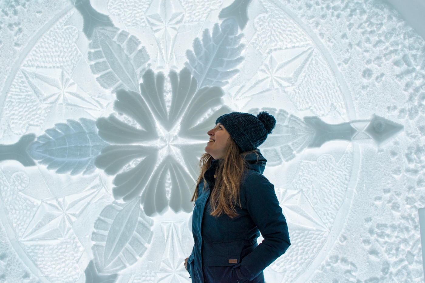 Excursies lapland ijshotel ice hotel