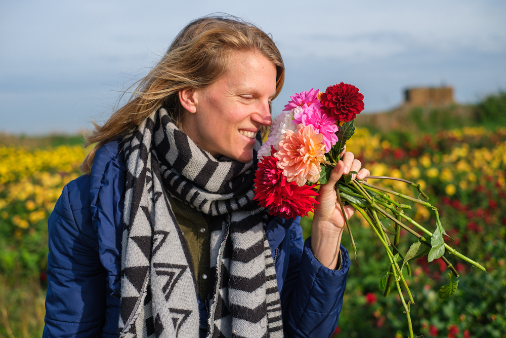 Fietsen Texel bloemen zelfpluktuin