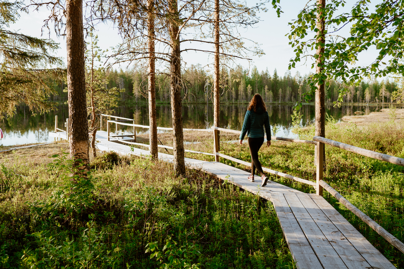 Fins lapland in de zomer wandelen