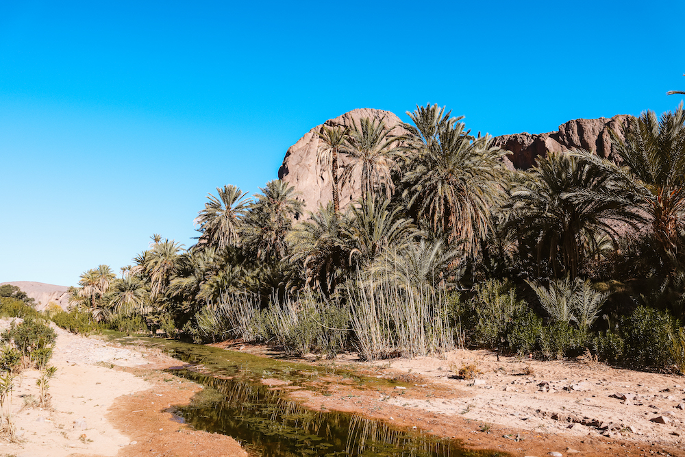 Fint oase, reisroute marokko