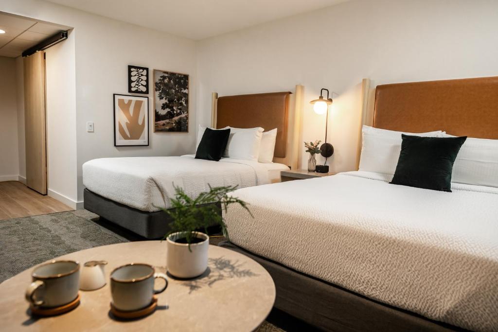 Hotel room with two queen beds, white bedding and a round table in the foreground with cups and a small plant.