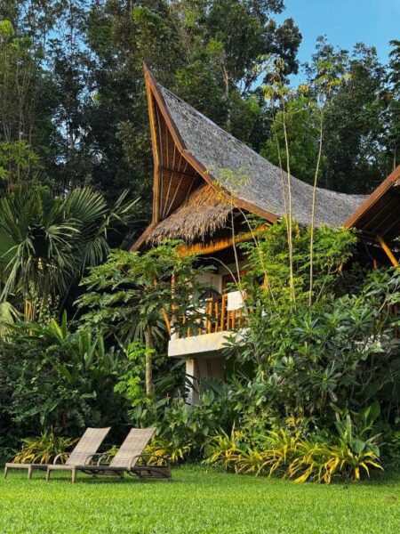 Fox & The Firefly Cottages bohol hotel