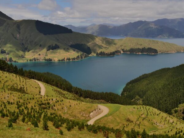 French Pass Marlborough