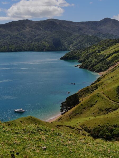 French Pass kust