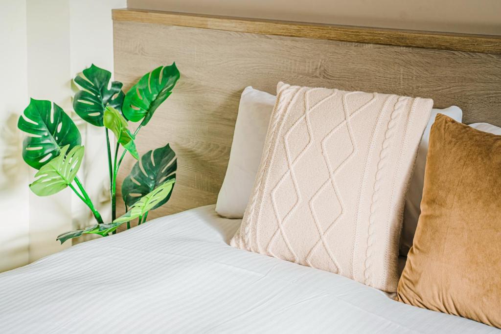 neatly made bed with white sheets, a textured beige throw pillow, a brown velvet pillow, wooden headboard, and a leafy green plant beside the bed