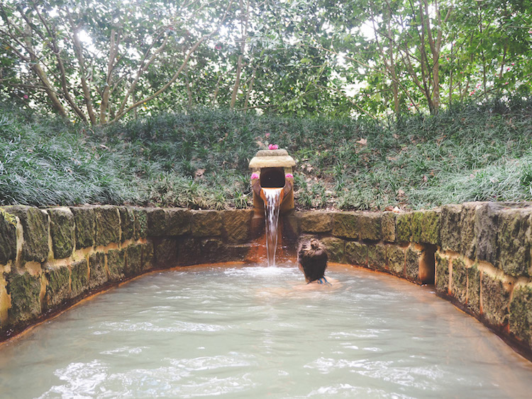 Furnas Terra Nostra Garden Hotel Azoren sao miguel
