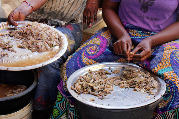 Gambia bezienswaardigheden Serrekunda Market