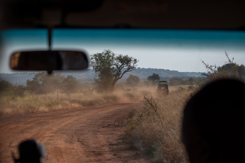 Game Drive Akagera NP