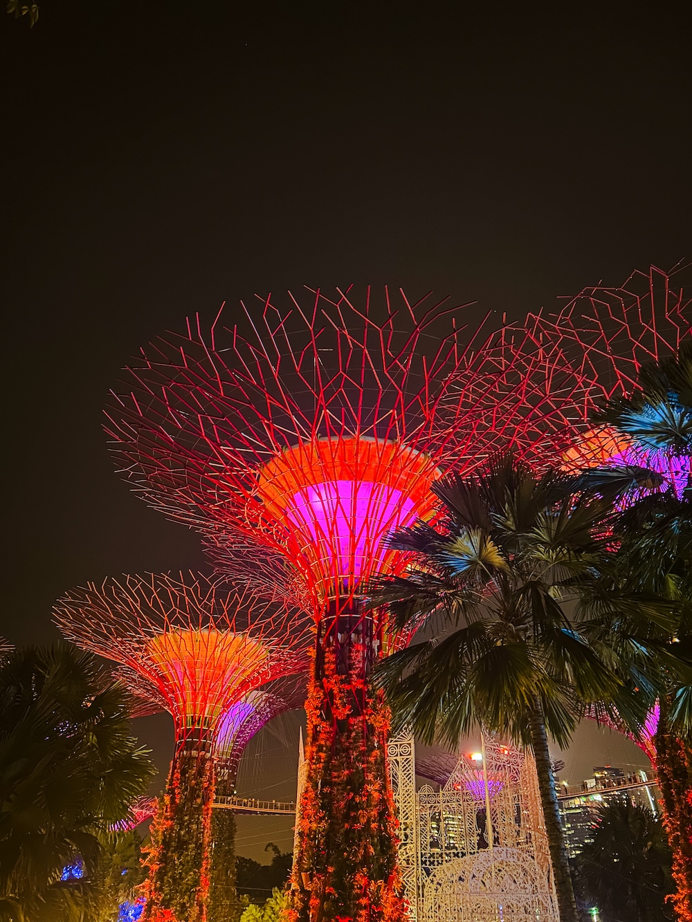 Garden Rhapsody verlichte bomen