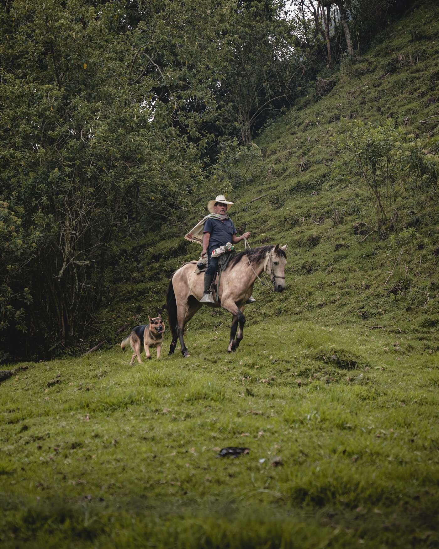 Gaucho te paard, Valle de Cocora
