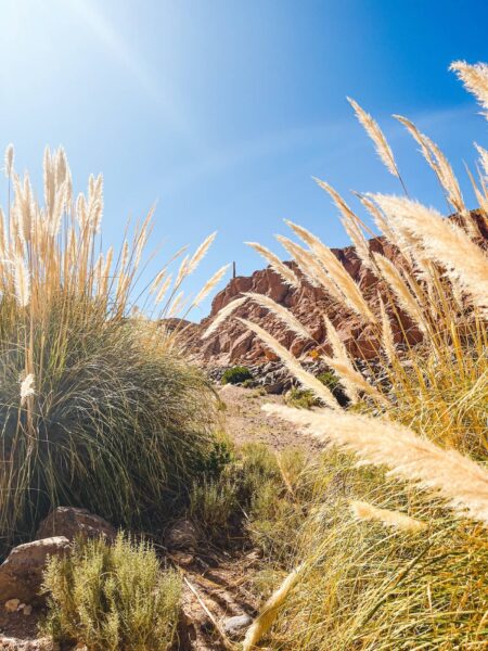 Gautin Atacama woestijn