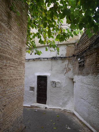 Gids wandeling Fez