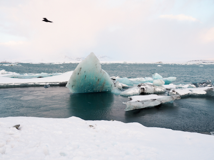 Golden Circle IJsland Jokulsarlon