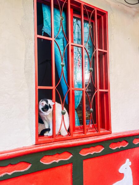 Guatape, kat in het raam