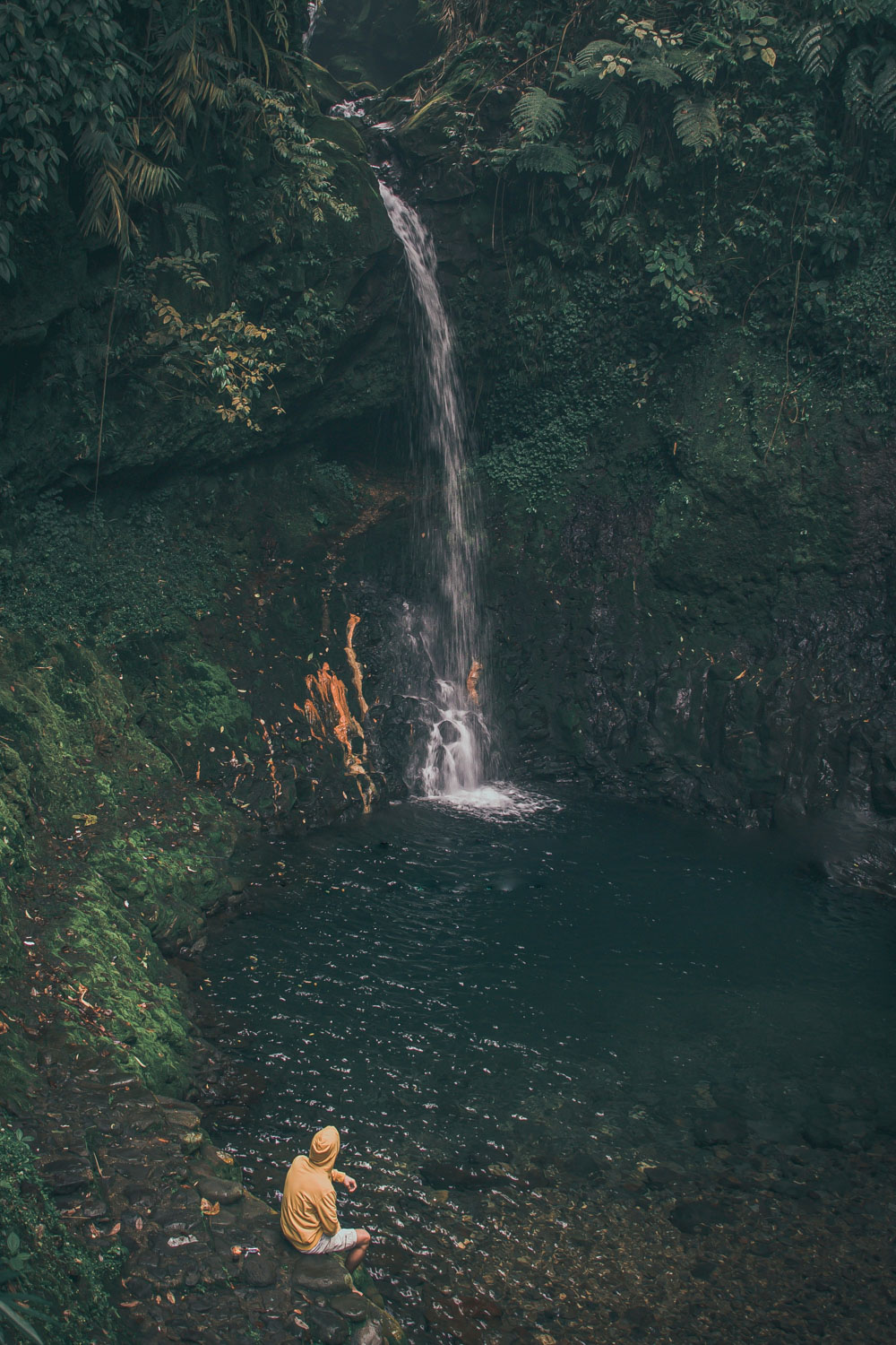 Gunung Halimun National Park