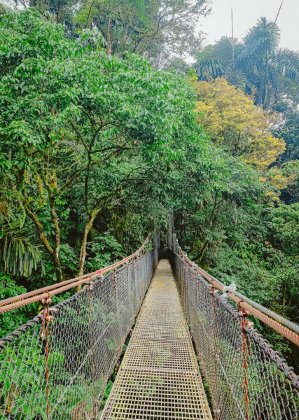 Hangbrug in La Fortuna