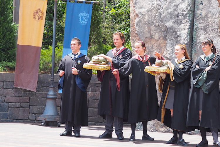 Harry Potter World leerlingen