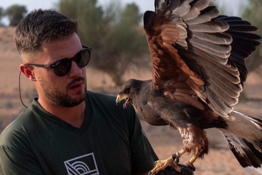Havik in Dubai Desert