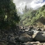 Hawaii groen natuurgebied rivier