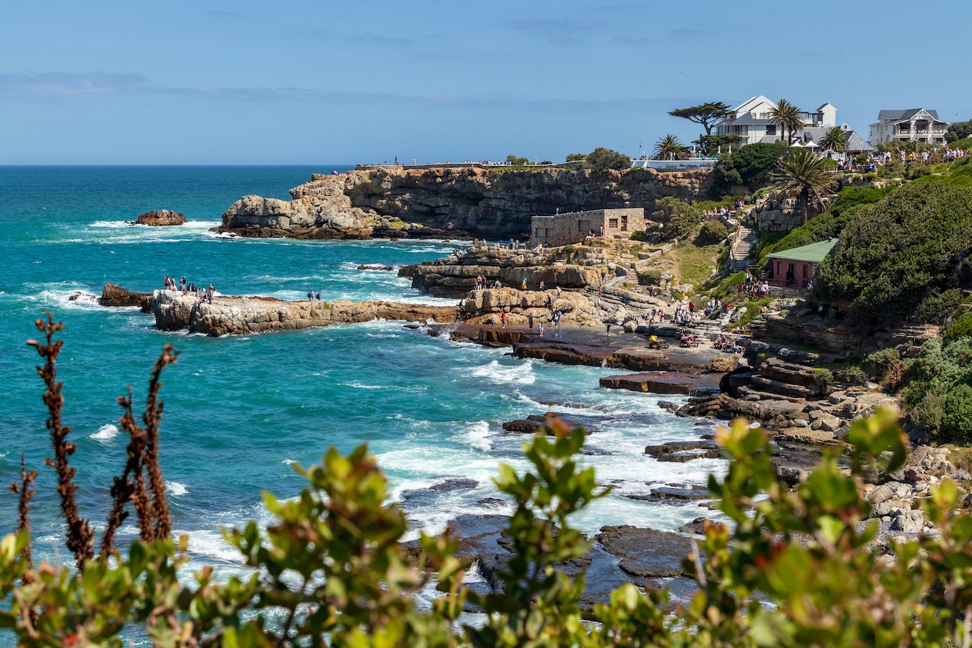 Hermanus walvissen spotten zuid afrika